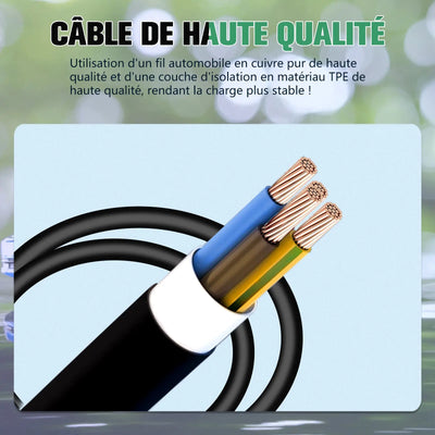 AWESAFE Tragbares EV-Ladeger (7.2KW,32A) Applicable aux véhicules électriques à énergie nouvelle avecinterface Type2 AWESAFE